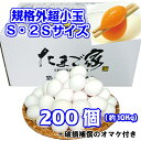 鶏卵 白卵 規格外 小玉 約10Kg 200個以上 送料無料 若鶏卵 初産み卵 お得 九州産 生食用 破損補償入り