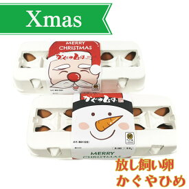 クリスマス 放し飼い卵 かぐやひめ 20個とたまごかけご飯専用醤油のセット 鶏卵 お祝い 送料無料 ギフト 卵 たまご 産地直送 生食用卵 九州産福岡県産 自然卵