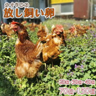 放し飼い卵 かぐやひめ 20個・30個・40個・70個・150個 送料無料 産地直送 生食用卵 九州産福岡県産 お中…