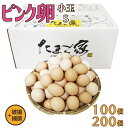 【日付指定できません】けいちゃんたまご ピンク卵 小玉 Sサイズ 100個（約5Kg）+補償〜200個（約10Kg）+補償 送料無料 鶏卵 若鶏卵 初産み卵 お中元 お歳暮 お得 九州産 生食用 破損補償入り