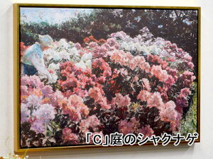 qɈړ]ׁ̈AsZ[I yz zG i S[ht[ 55×40cm Sbz  S[hg G h  CeA z CeAG AeB[