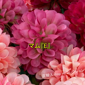 qɈړ]ׁ̈AsZ[I } 7F  킢 ԍ ޗ AW {[u[P a e CeAt[ tFCNt[ CeAO[ tFCNO[ A[