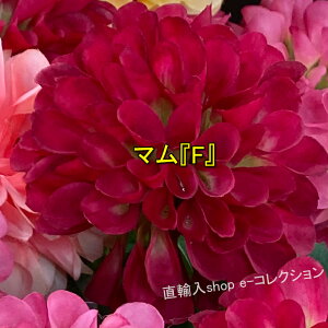 qɈړ]ׁ̈AsZ[I } 7F  킢 ԍ ޗ AW {[u[P a e CeAt[ tFCNt[ CeAO[ tFCNO[ A[