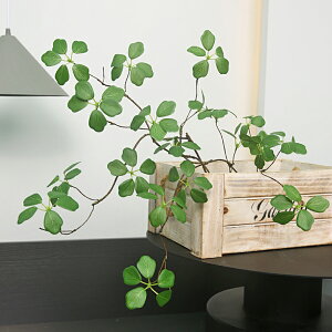 qɈړ]ׁ̈AsZ[I y|Xgցz@C[vc  CeA lHϗtA tFCNO[ t JtF  rO Lb` ۂ t 炷