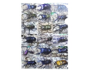 COLORSIWiNAt@CiẼNK^Vj