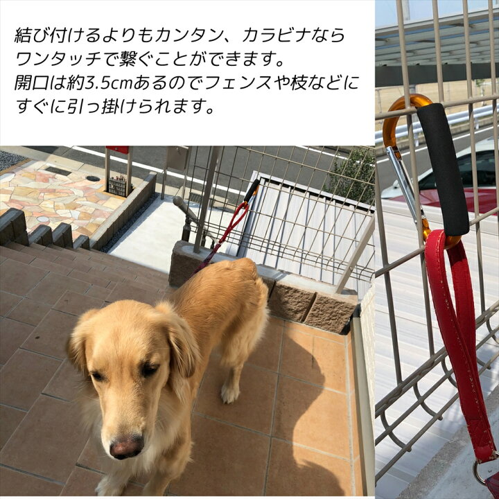 楽天市場 Line友達登録10 Offクーポン 大型犬 係留 カラビナ Big サイズ ペットグッズ 犬 中型犬 散歩 リード 引っ掛ける フック ゴールデンレトリバー ラブラドール シェパード つなぎ止め ベビーカー 荷物 ホルダー ハンドルフック ひとまとめ おでかけグッズ お