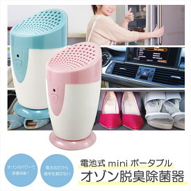 楽天市場 冷蔵庫 電池式の通販