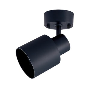 NTN88008B pi\jbN X|bgCg(Xs[J[Ή^Cv) ubN vEXs[J[ʔ