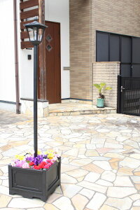 y[J[z TAN-793-1 J lpv^[t\[[Cg 1 LEDidFj ZT[t