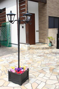 y[J[z TAN-793-2 J lpv^[t\[[Cg 2 LEDidFj ZT[t