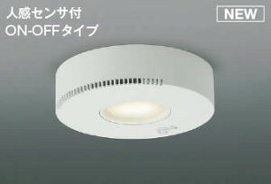 AH54242 RCY~ ^V[OCg LEDiFj ZT[t