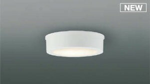 AU54137 コイズミ 浴室灯 ホワイト LED(電球色)