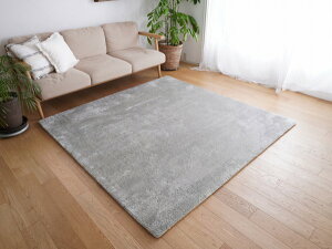 �y���[�J�[�����z �g�V�V�~�Y MS-305-190X190-CGY 190x190cm�����` 2�� ���O ���r���O �}�b�g ������� ���g�z�b�g�J�[�y�b�g �􂦂� EX�}�C�N��2�w�E���^�����O �N�[���O���[