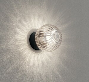 OG254693LR オーデリック 浴室灯 クリア LED(電球色)