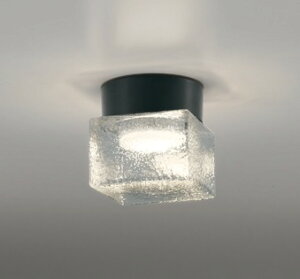 OG264049LR オーデリック 浴室灯 ブラック LED(電球色)