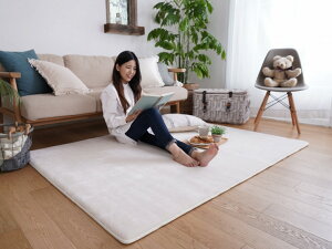 �y���[�J�[�����z �ᔽ�� ������ 3�w�E���^�� �t�����l�� ���O 190×190cm�����` 2�� �z���C�g�A�b�V�� LM-102 �g�V�V�~�Y