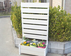 y[J[z GNXv X^CbV tFX 1492×800mm v^[Zbg zCgI[N Pi vX`bN ASA PVC 4524804136100