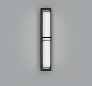 OG254493R �I�[�f���b�N �|�[�`���C�g LED(�����F) (OG254493 ��֕i)