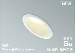 y݌ɗL [z y݌Ɍz AD7131W99 RCY~ XΓVp_ECg 100 zCg LED Fؑ  Vi [J[ۏ؂