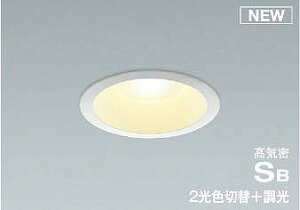 y݌ɗL [z y݌Ɍz AD7134W99 RCY~ _ECg 100 zCg LED Fؑ  U Vi [J[ۏ؂