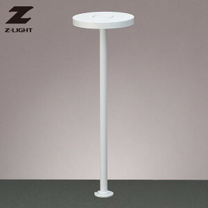 ZCg RcƖ fXNCg ZR-2NW ^Cv zCg LED F 