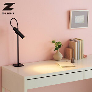 ZCg RcƖ fXNCg ZR-30B-LL Torch(g[`) ubN LED dF wK ׋ ItBX  ڂɗD