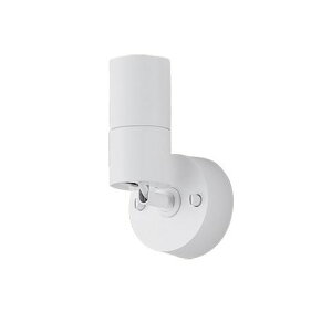 XSZP3005NCB1 �p�i�\�j�b�N �X�|�b�g���C�g ��45 �z���C�g LED �����F ���� �g�U
