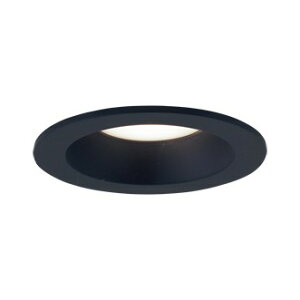 LGD1007VLE1 �p�i�\�j�b�N �_�E�����C�g ��75 �u���b�N LED�i�����F�j �g�U