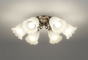 OC257271LR �I�[�f���b�N �V�����f���A 6�� �u�����Y LED �d���F ���� �`8��