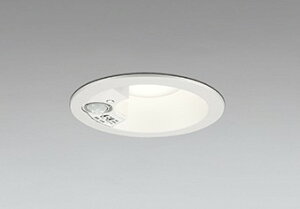 OD361583R I[fbN p_ECg 100 zCg LEDiFj Xvbh ZT[t