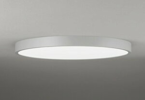 OL291684BR �I�[�f���b�N �V�[�����O���C�g ���C�g�O���[ LED ���F ���� �`10��