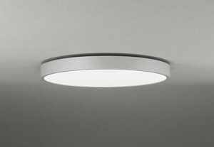 OL291689BR �I�[�f���b�N �V�[�����O���C�g ���C�g�O���[ LED ���F ���� �`6��