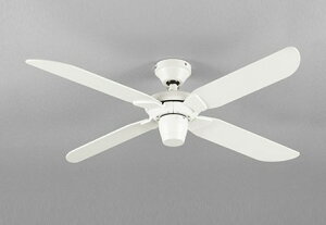 WF054 I[fbN V[Ot@{ zCg