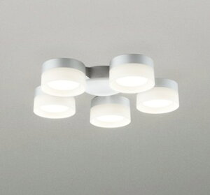 WF300WR I[fbN V[Ot@pVfA 5 Vo[ LED(F) `6