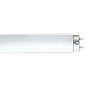 FLR40SEXW/M/36H GU  Og`uv ǌ` sbhX^[g` 40` F (G13)