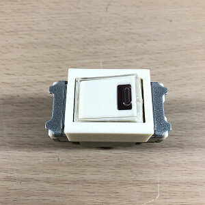 WN5241 �p�i�\�j�b�N �t���J���[�����p�C���b�g�X�C�b�`B(�А�) �l�[���t