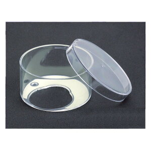 y݌ɗL [z FUKI tL T^[Jo[ ǌ^ ^b`t