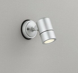 OG254589 オーデリック 屋外用スポットライト シルバー ランプ別売