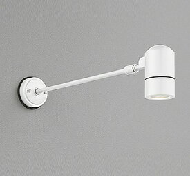 OG254593 オーデリック 屋外用スポットライト ホワイト ランプ別売