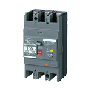 BKW26031SK pi\jbN Rdu[J BKW-100S^ 2P2E 60A 30mA