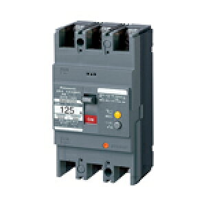 BKW21503SK pi\jbN Rdu[J BKW-150S^ 2P2E 150A 30mA