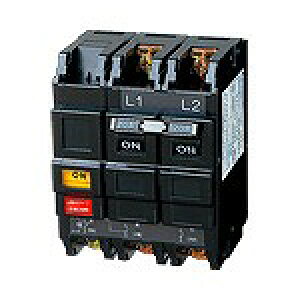 BCLF2200 �p�i�\�j�b�N �����R���u���[�J(�u���㎥���Ea�ړ_�����^�C�v) CLF-30�^ 2P2E 20A (AC24V����)