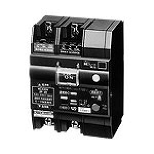 BYR204232 �p�i�\�j�b�N �����R���R�d�u���[�J(�u���㎥���E���[�^�ی�p) YR-30�^ 2P2E 4.2A 30mA (AC200V����)