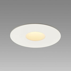DD-3488-L �R�c�Ɩ� �_�E�����C�g ���F LED �d���F ���� 43�x