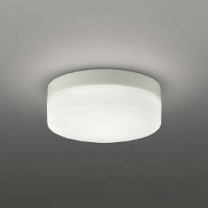 AR49374L �R�C�Y�~ ��퓔 LED�i�����F�j