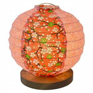 y[J[z B-10 ʌfUC aX^hCg fruits(t[c) vbh×~ M