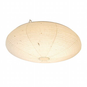 y[J[z SC-102-01 ʌfUC aV[OCg nest(lXg) Z LED F i `8