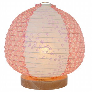 y[J[z SS-3020 ʌfUC aX^hCg peach(s[`) ԕsN×~ M