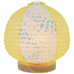 y[J[z SS-3020 ʌfUC aX^hCg peach(s[`) ԕ×~CG[ M
