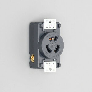 3120-P AJd@ 3120-P |` plpRZg ڒn2P 15A 250V